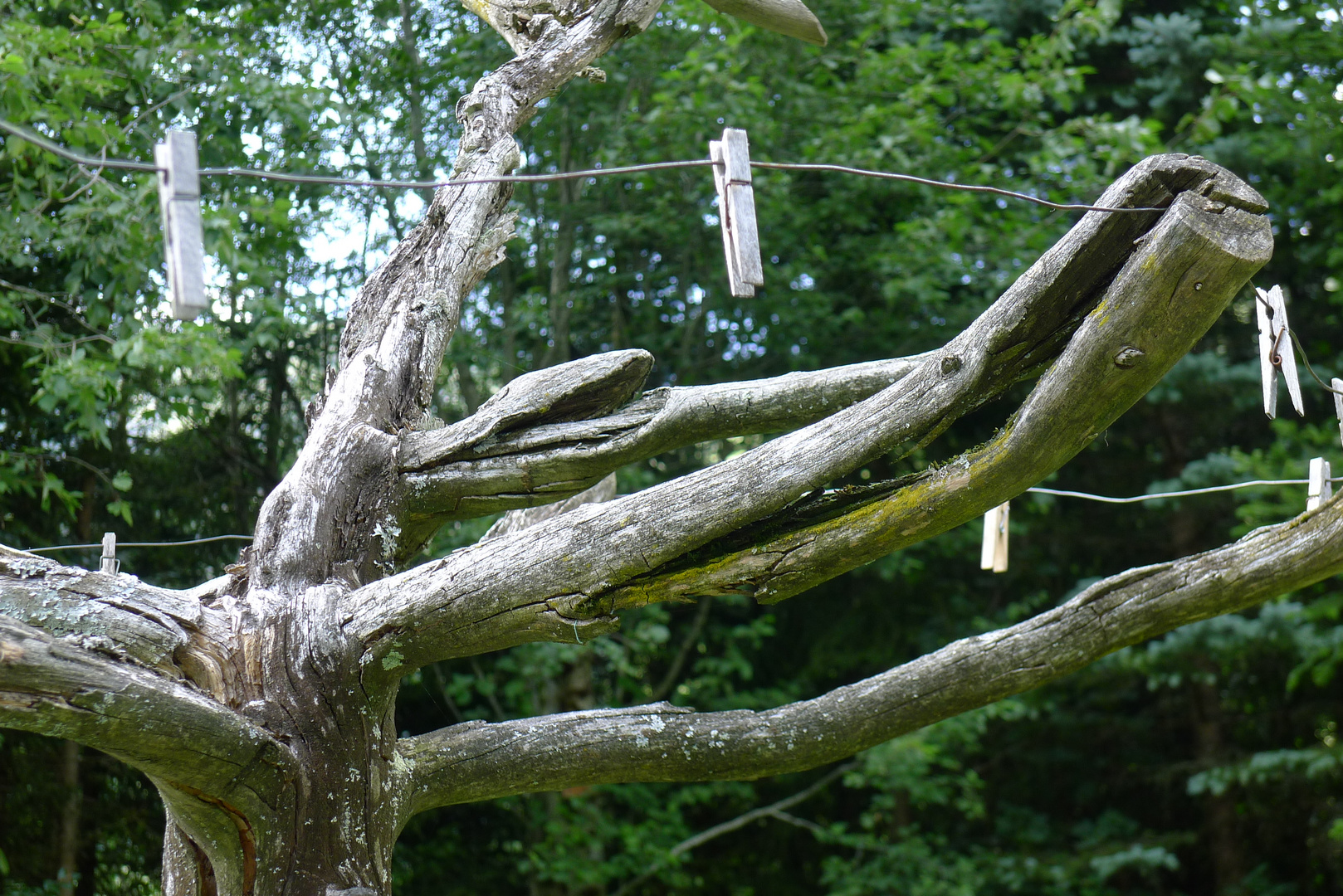 Alpenländische Wäschespinne