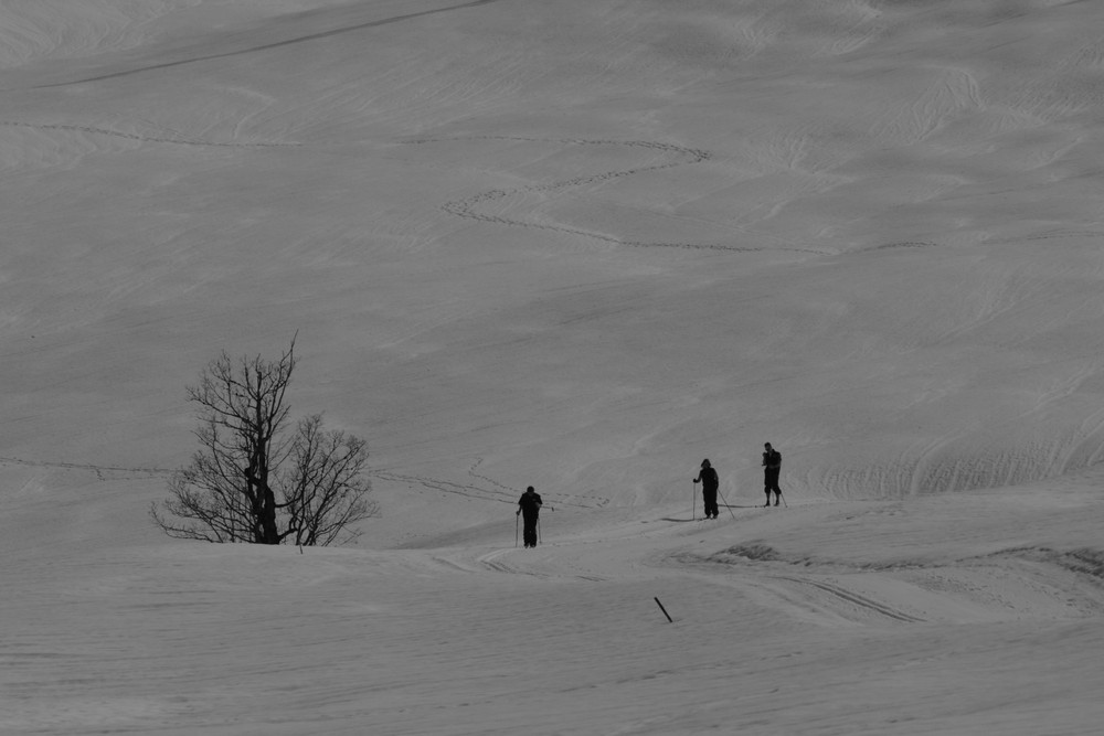 Alpenländisch....Licht und Schatten