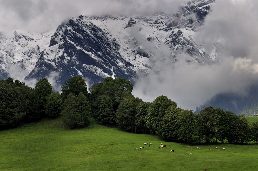 Alpenlandschaft...