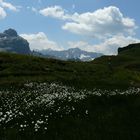 Alpenlandschaft