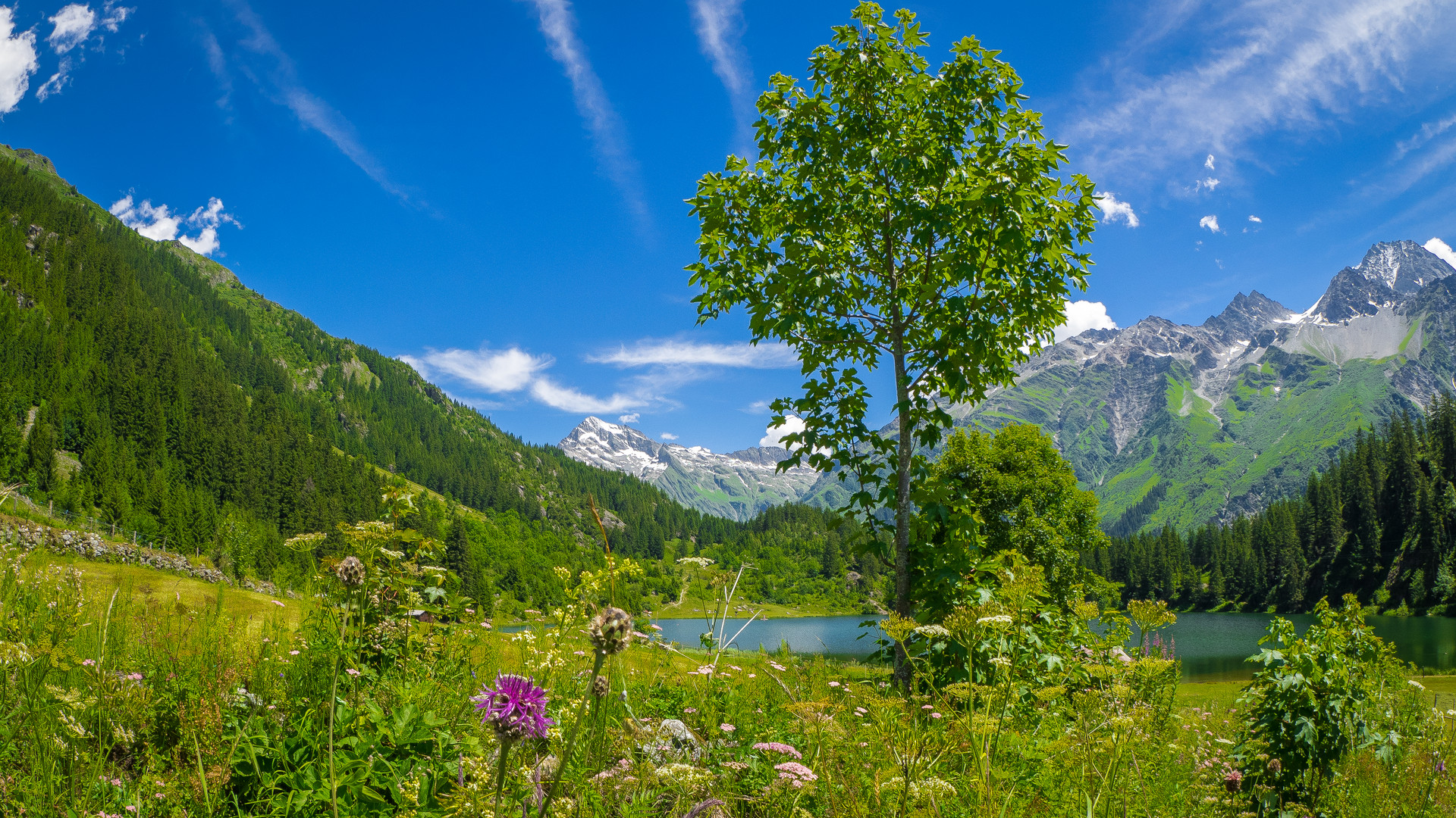 Alpenlandschaft Foto & Bild | landschaft, berge, bergseen Bilder auf