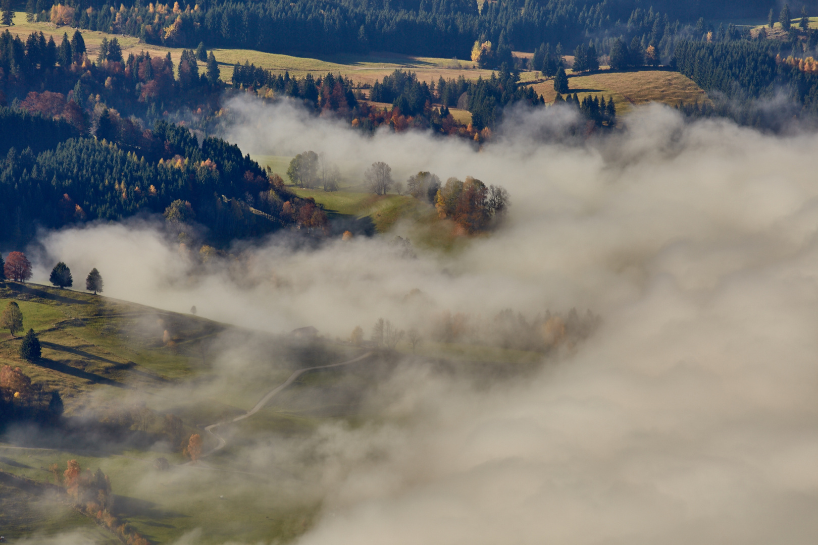 Alpenpanoram Allgäu