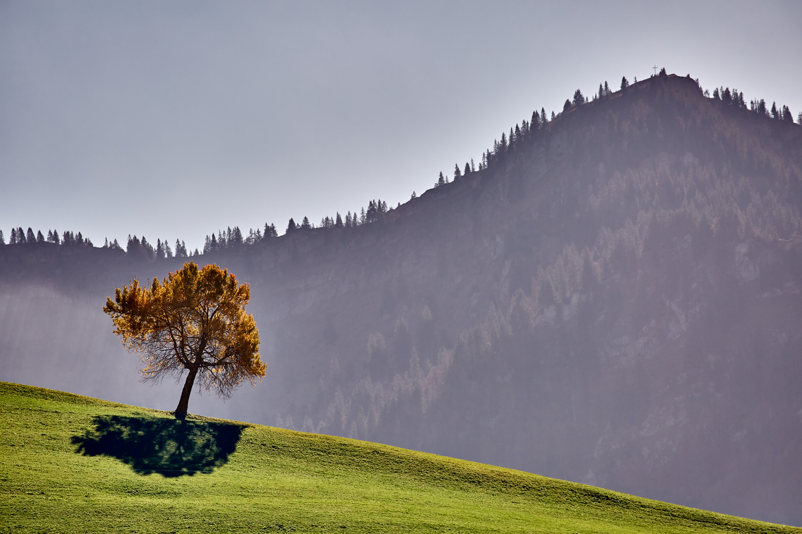 Alpenpanoram Allgäu