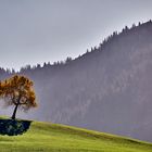 Alpenpanoram Allgäu