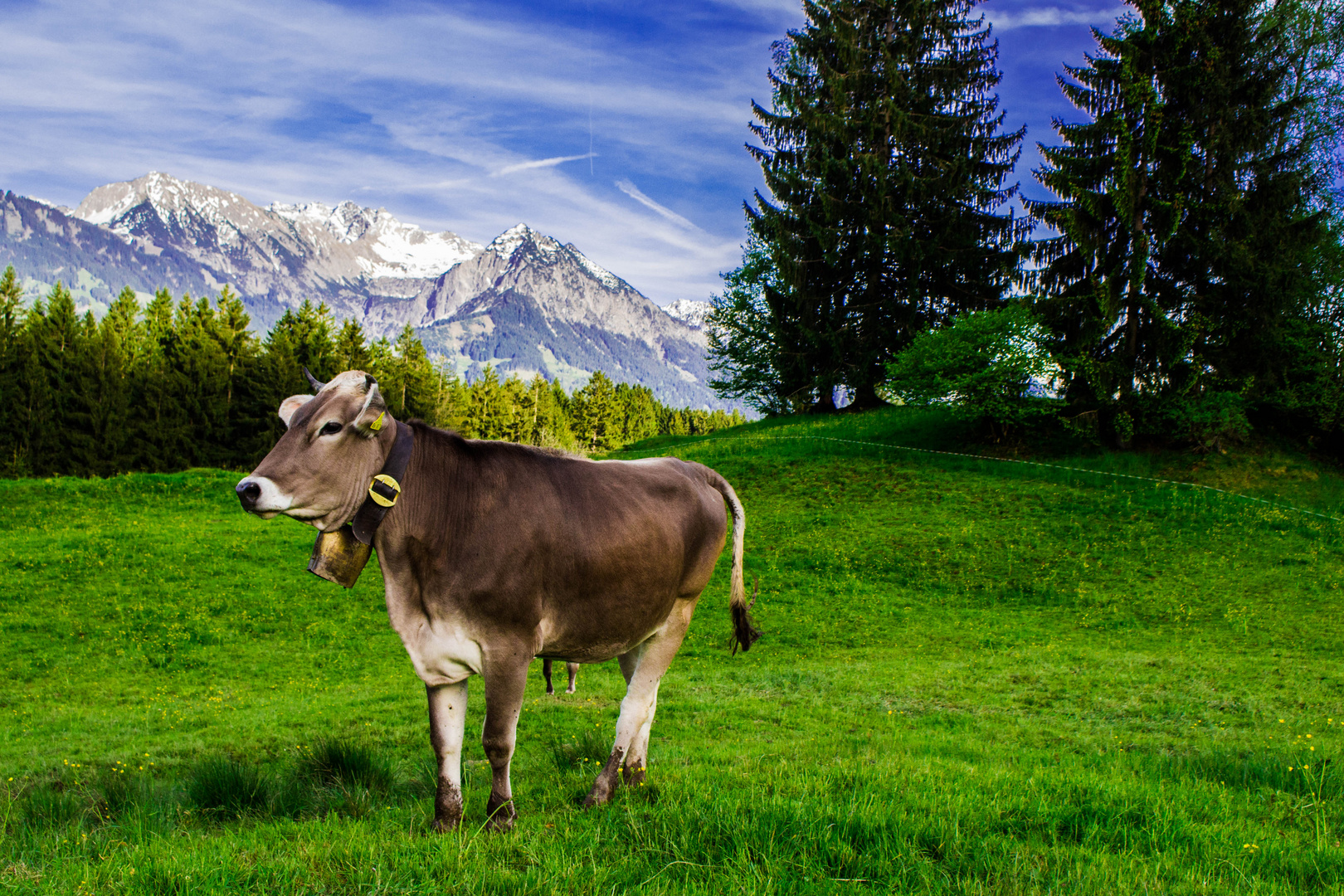 Alpenpanorama