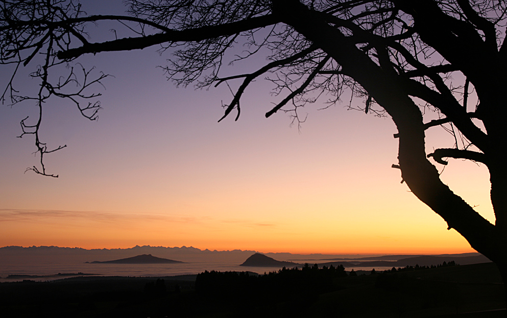 Alpenpanorama 1