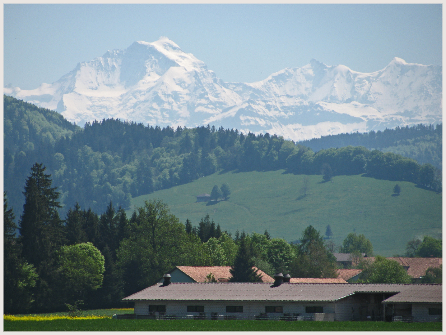 Alpenpanorama