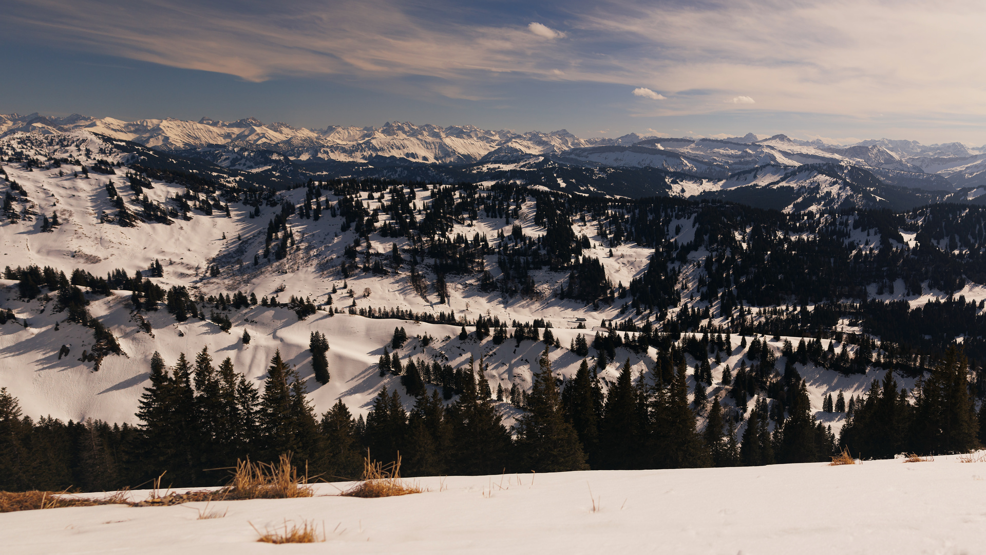 Alpenpanorama