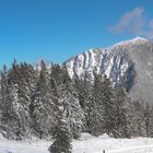 Alpenpanorama