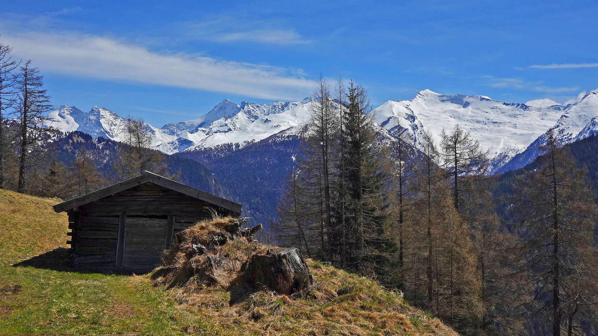 Alpenpanorama