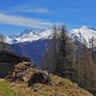 Alpenpanorama