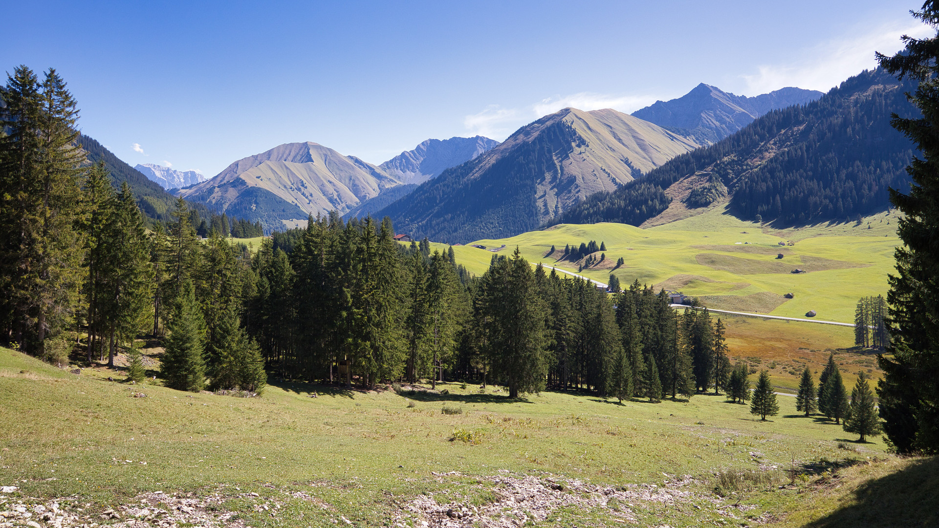 Alpenpanorama