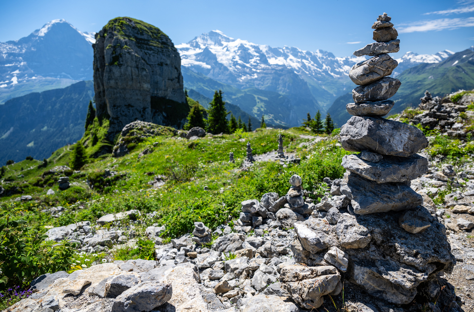 Alpenpanorama