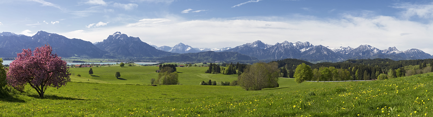 Alpenpanorama