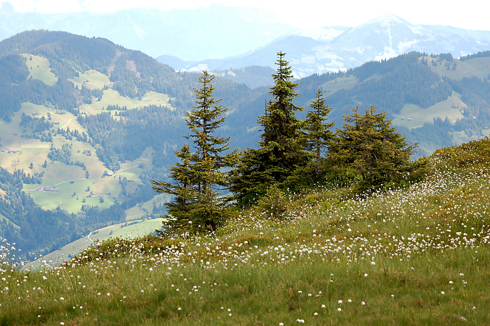 Alpenpanorama