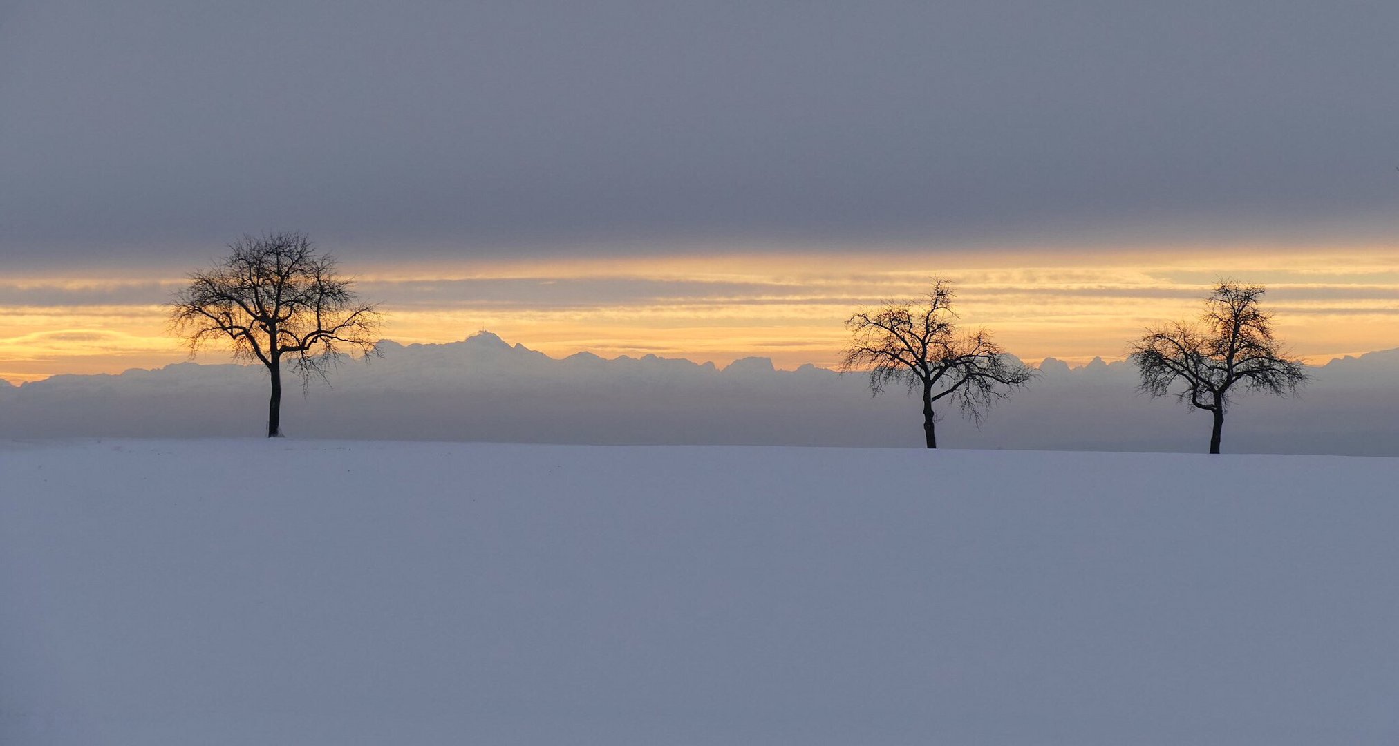 Alpenpanorama