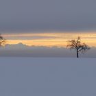 Alpenpanorama