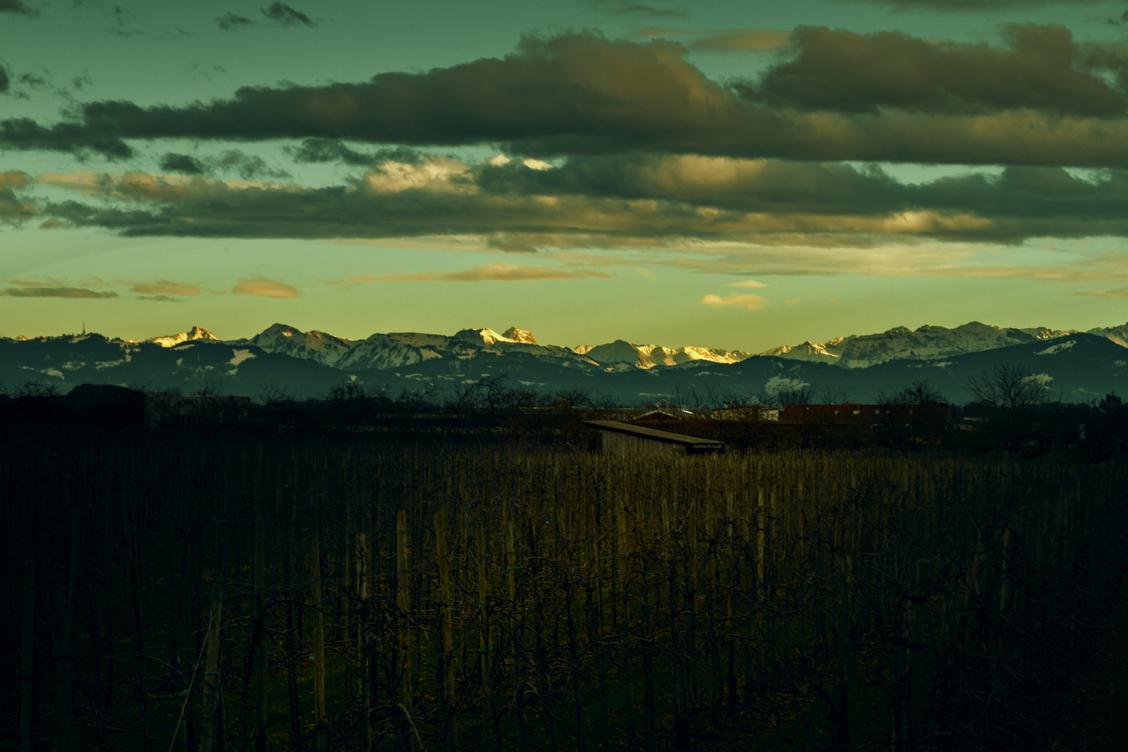 Alpenpanorama am Bodensee