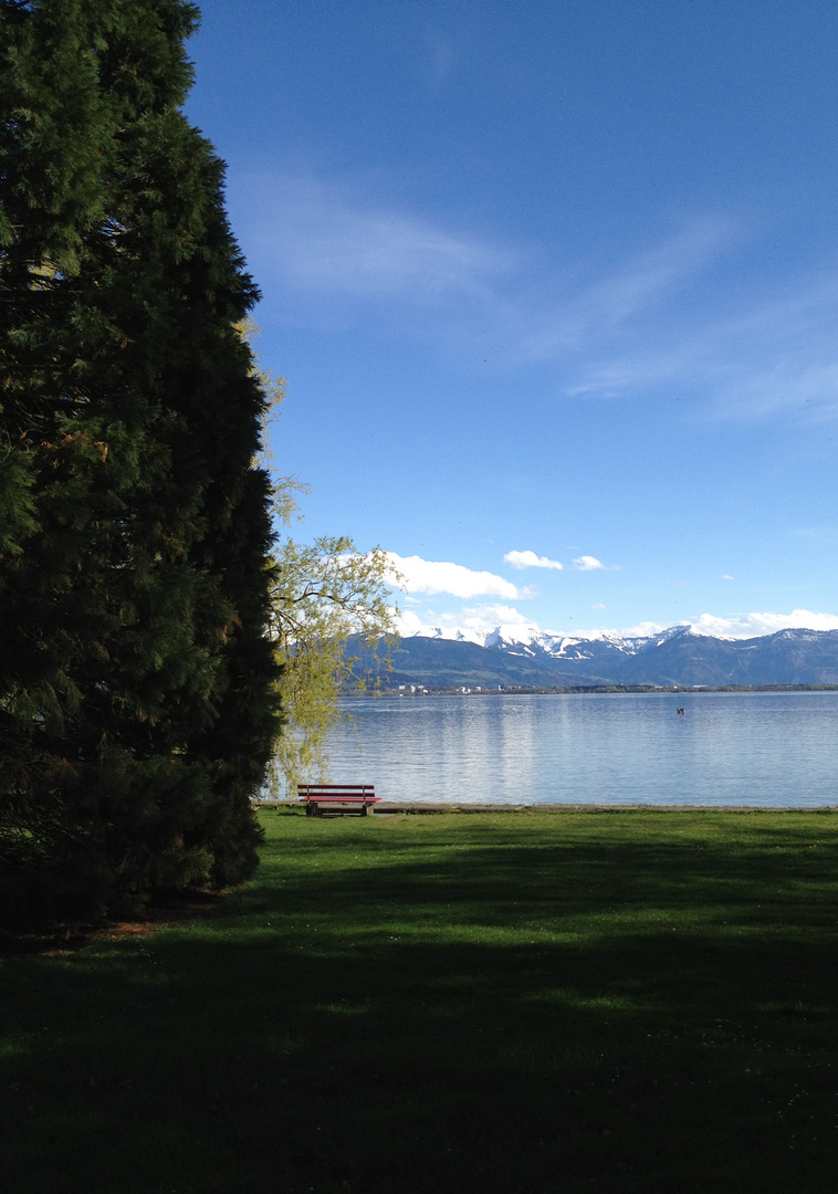 Alpenpanorama am Bodensee (Toskanapark)