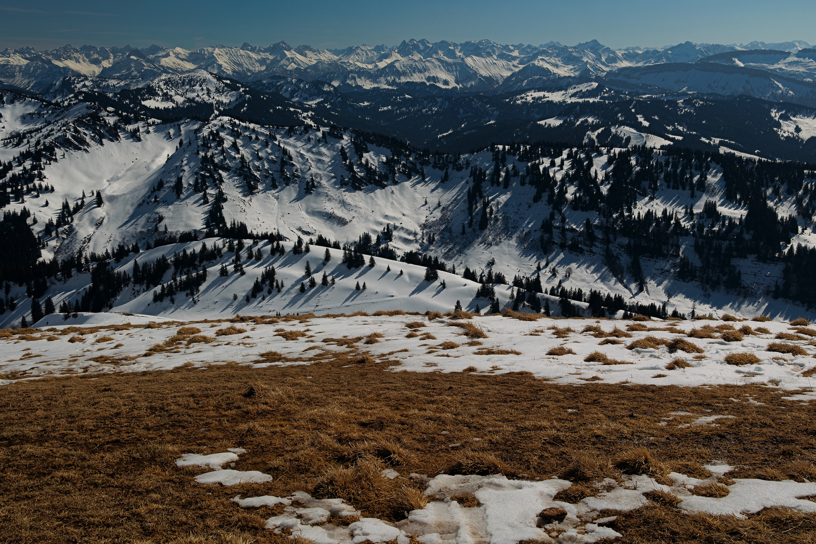 Alpenpanorama