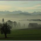 Alpenpanorama im Nebel