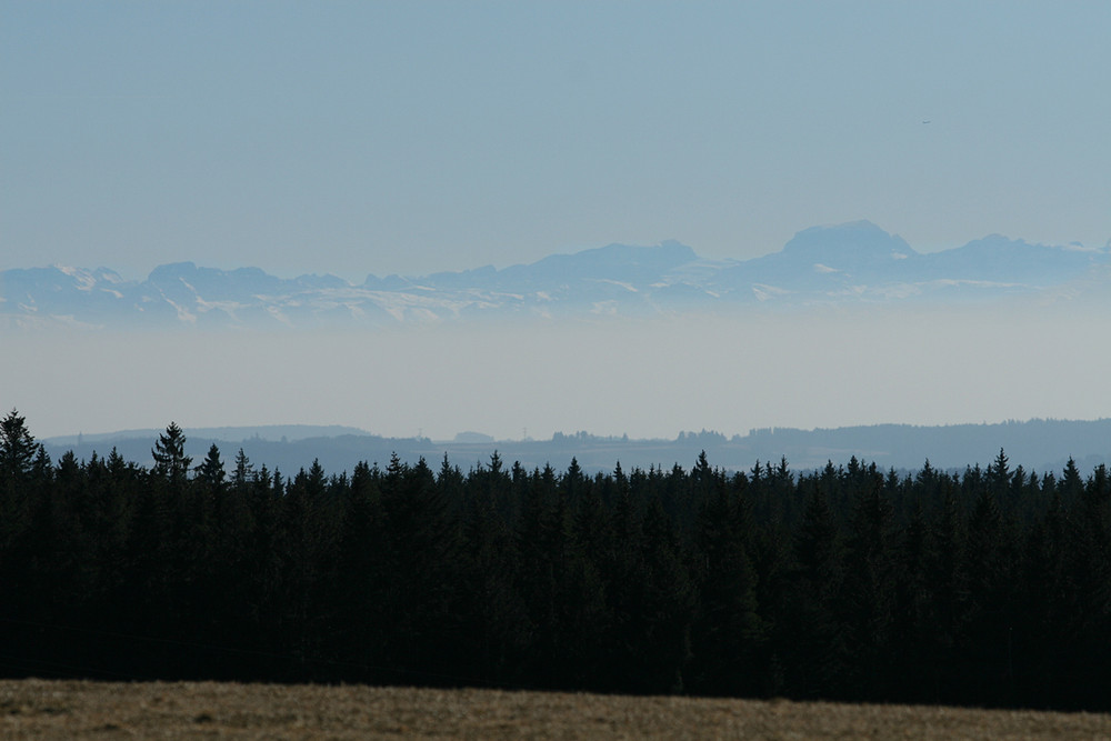 Alpenpanorama im Schwarzwald