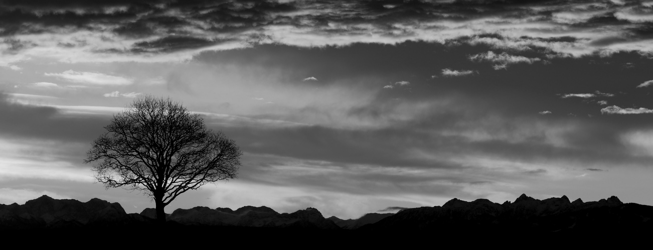 Alpenpanorama im Winter