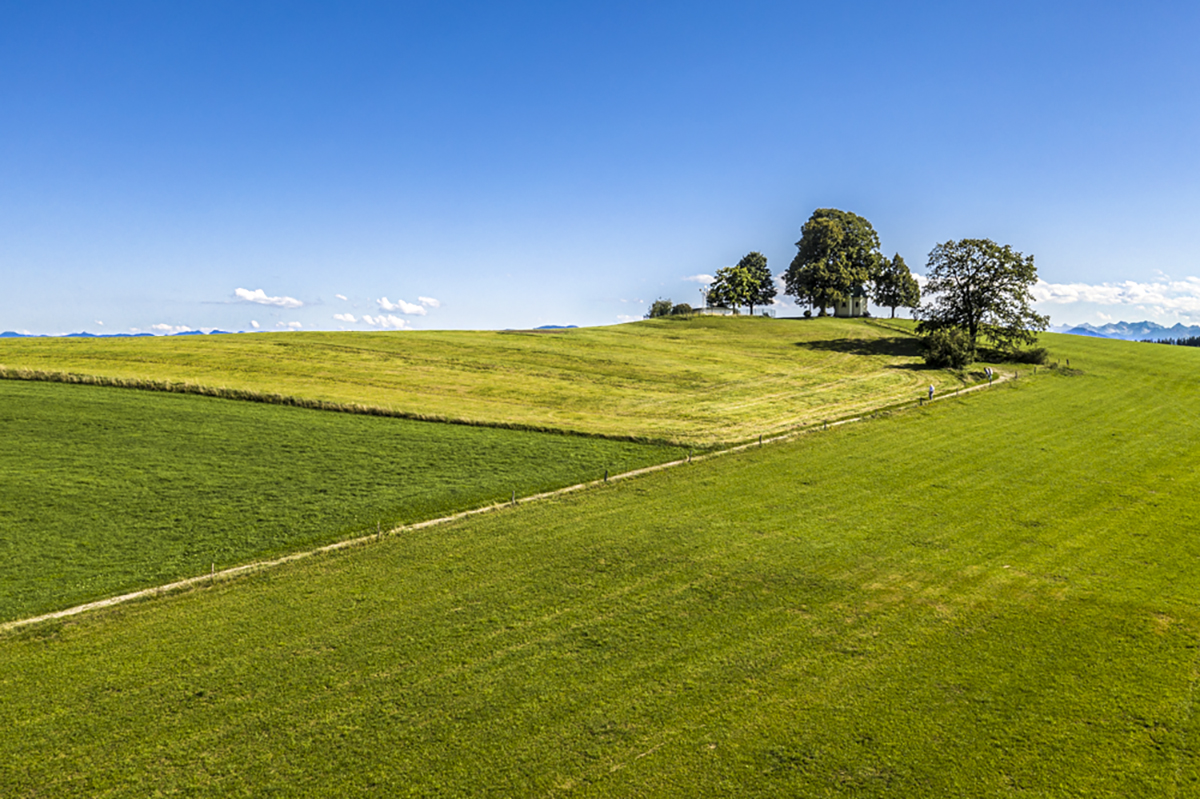 Alpenpanorama in Bavarian Pampa