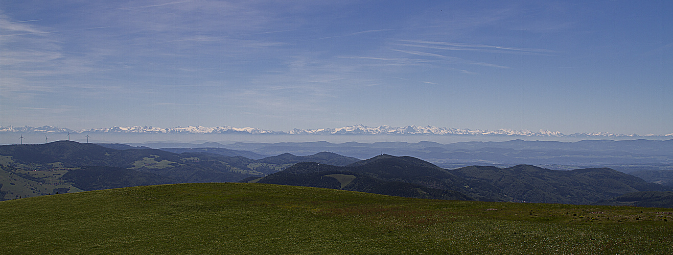 Alpenpanorama vom Belchen im Südschwarzwald 