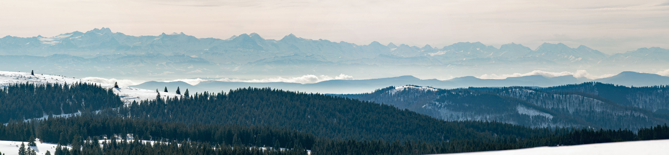 Alpenpanorama-vom-Feldberg