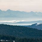 Alpenpanorama-vom-Feldberg