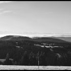 Alpenpanorama vom Feldberg