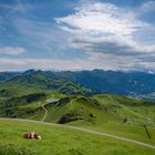 Alpenpanorama vom Kitzbühler Horn mit Blick auf die Hohen Tauern