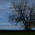 Alpenpanorama von der Schwäbischen Alb