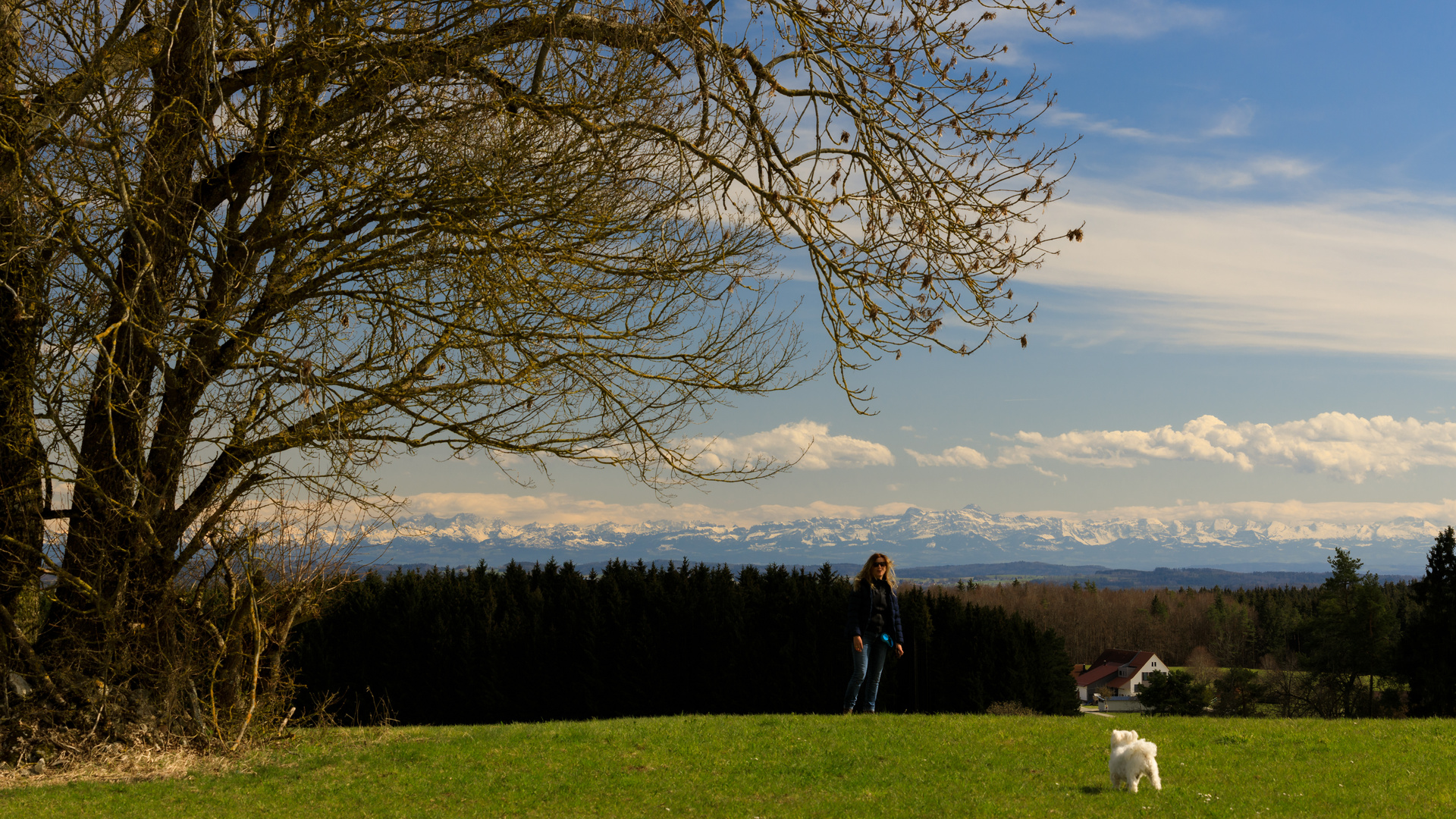 Alpenpanorama von der Schwäbischen Alb