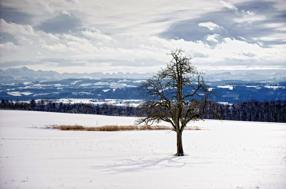 Alpenpanorama von Klingenberg