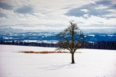 Alpenpanorama von Klingenberg