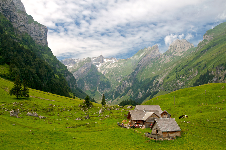 Alpenrausch