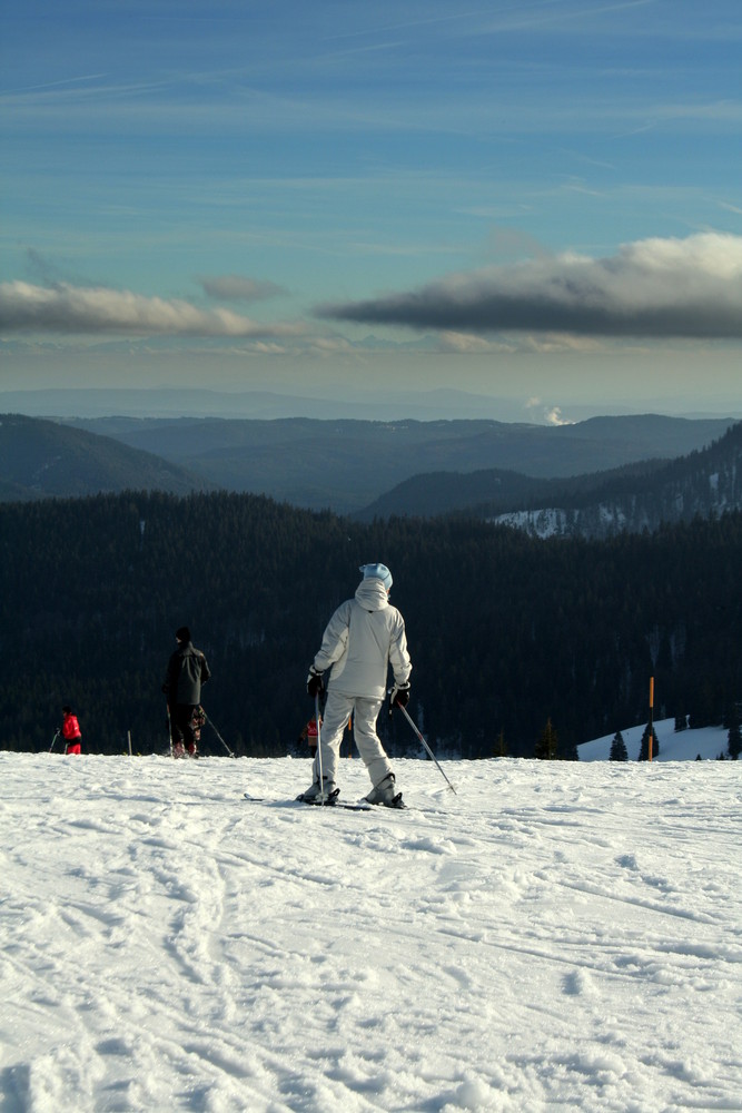 Alpensicht auf dem Feldberg/Schwarzwald im Winter