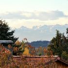 Alpensicht bei Herbstföhn