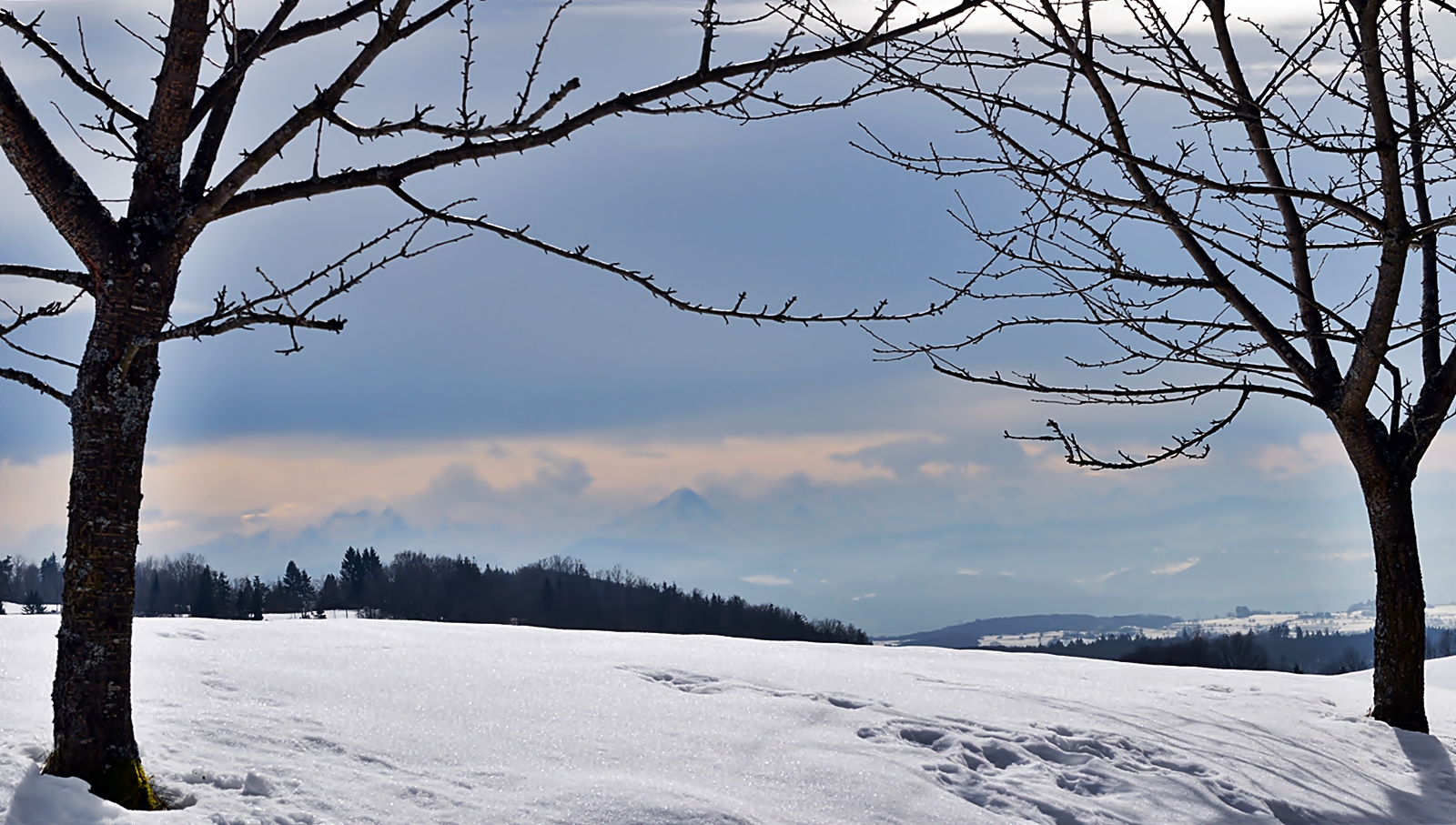 Alpensicht - Blick zum Eiger