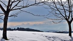 Alpensicht - Blick zum Eiger