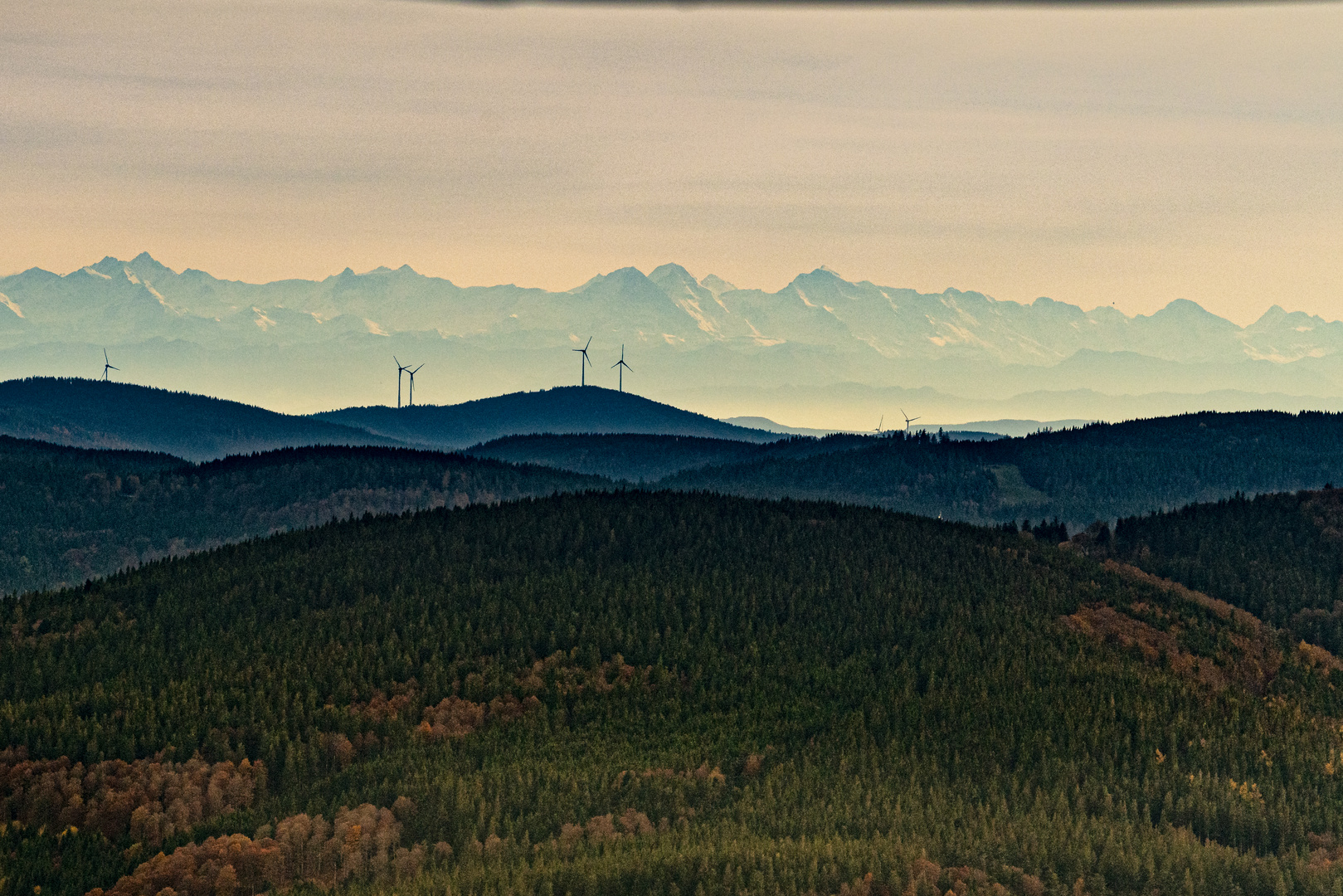 Alpensicht im Schwarzwald 