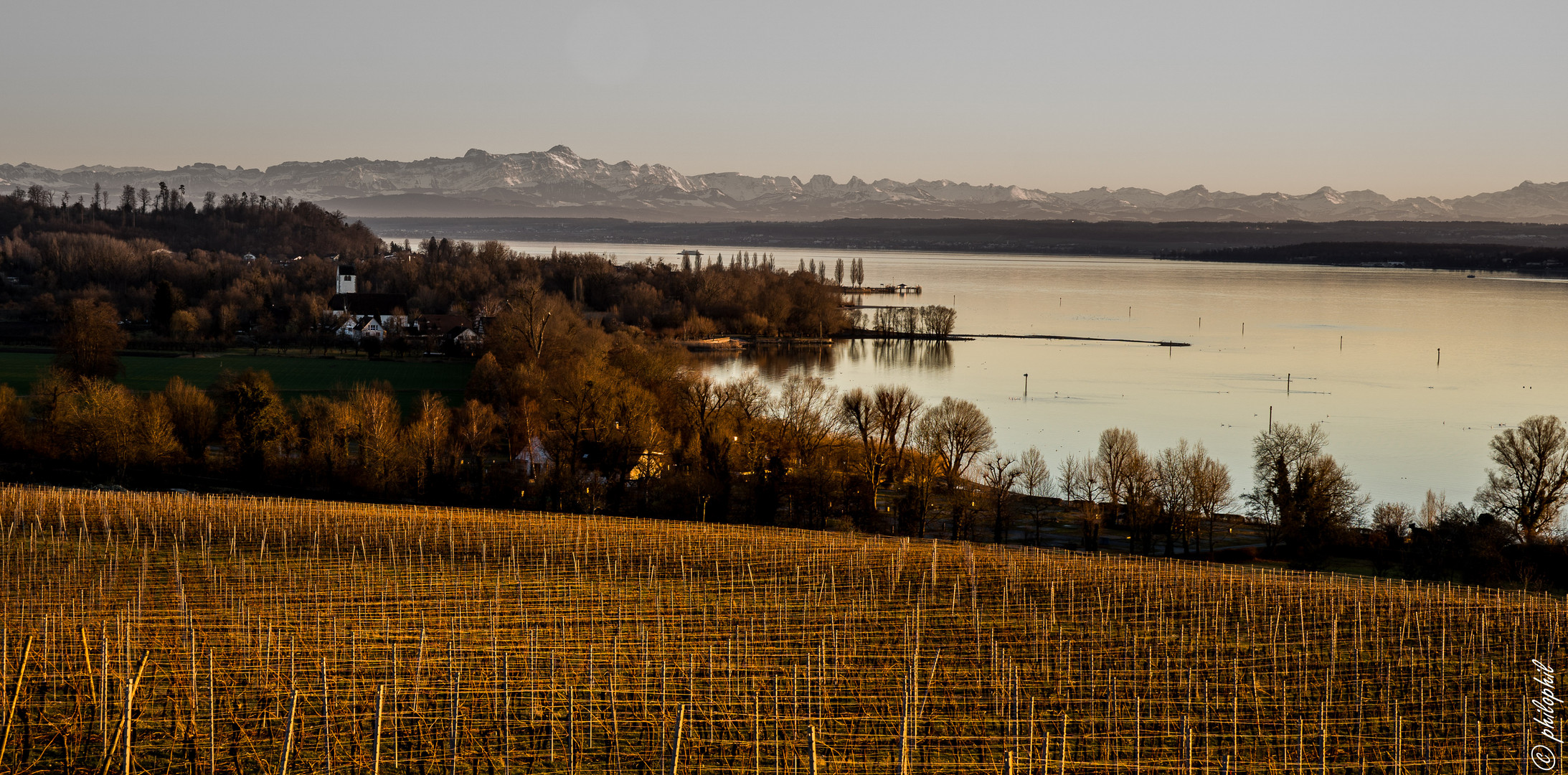 Alpensicht überm Bodensee