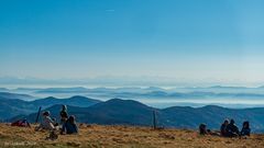 Alpensicht vom badischen Belchen