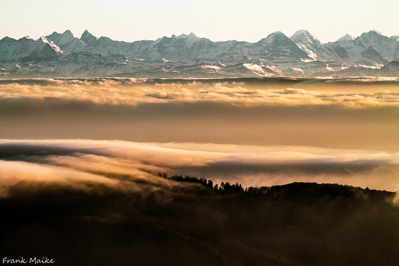 Alpensicht vom Hochblauen