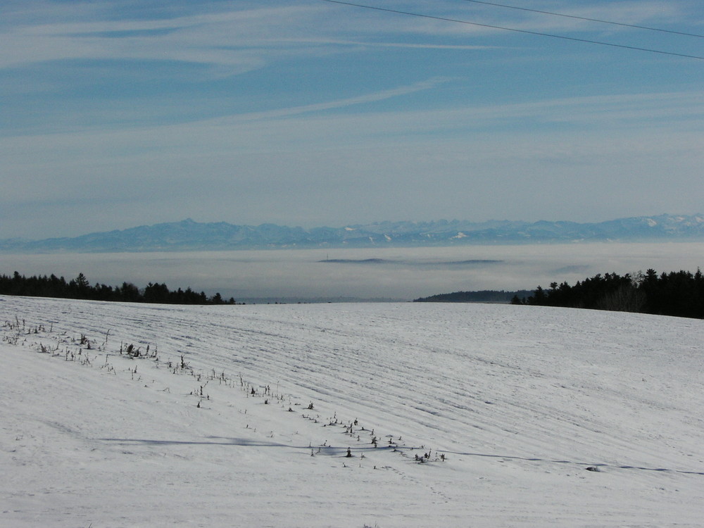 Alpensicht vom Schwarzwald aus