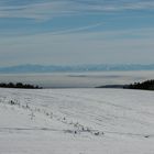 Alpensicht vom Schwarzwald aus