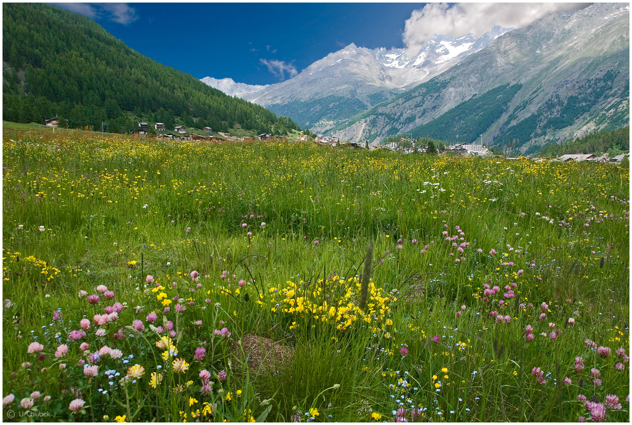 alpensommer