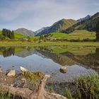 Alpenspiegelung